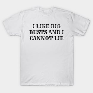 I Like Big Busts and I Cannot Lie T-Shirt